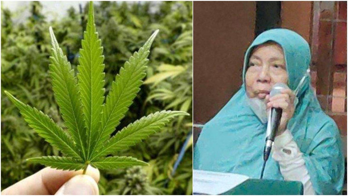 TANGIS Nenek Terdakwa Kasus Narkoba Terjerat Ganja oleh Anak Sendiri: Dipenjara Masih Buat Susah Ibu