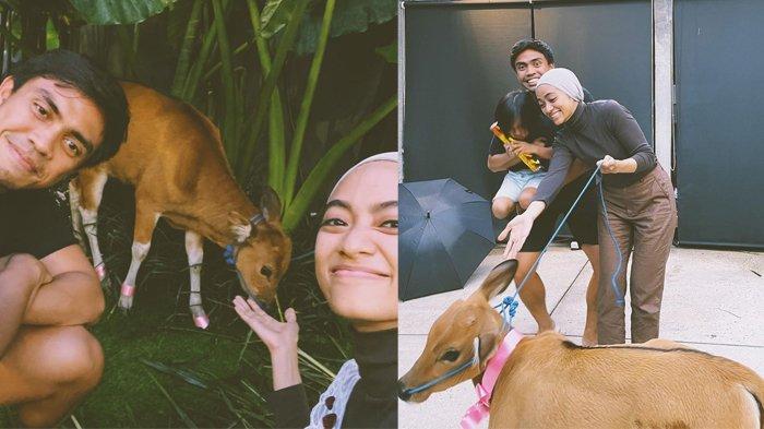 Dihadiahi Ditto Sapi di Ultah ke-31, Ayudia Girang Sambut Anggota Keluarga Baru, 'Best Present Ever'