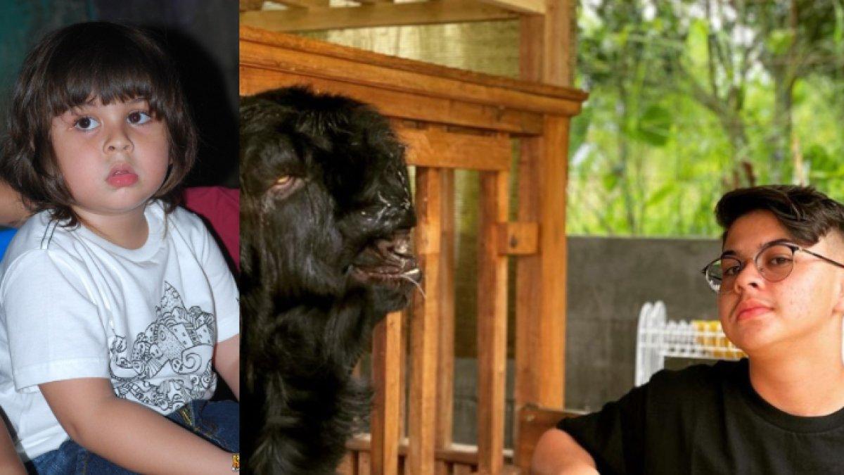 Masih Ingat Aktor Baim Cilik? Kini Makin Ganteng & Sukses Jadi Juragan Kambing, Raup Rp 1 Miliar