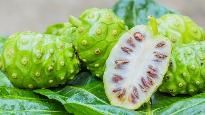 Meski Bau & Rasanya Pahit, Buah Mengkudu Punya 4 Manfaat Mujarab Ini, Bisa Lawan Stroke & Kolesterol