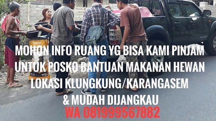 Putuskan Tinggal di Bali, Cici Panda Ikut Sebarkan Informasi Untuk Bantuan Korban Gunung Agung