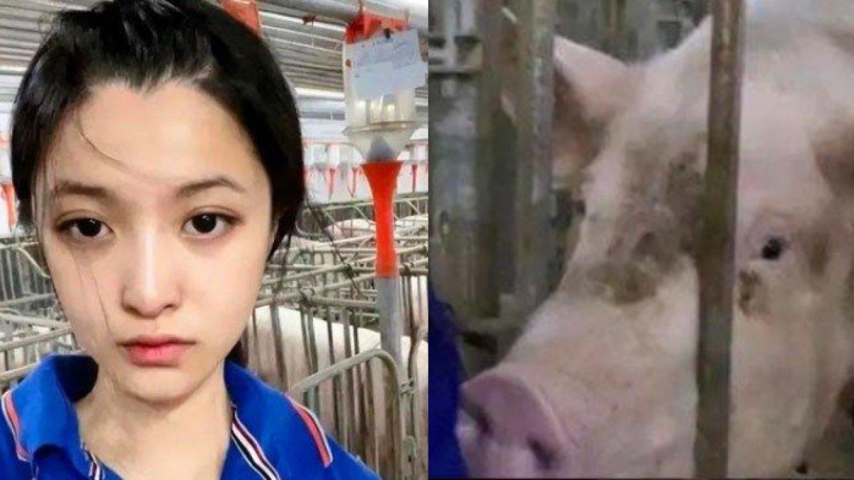 Wajah Cantik Bak Idol, Gadis Pilih Ternak Babi, Dituduh Gimmick, Bungkam Lewat Penghasilan yang Wow!