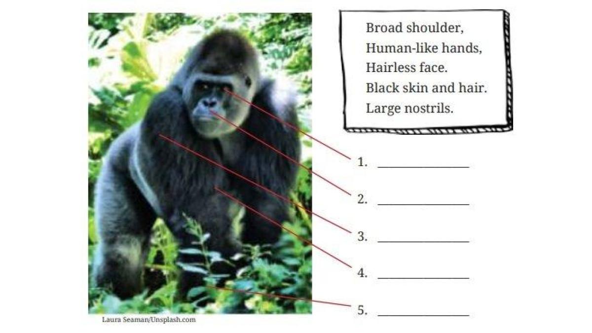 Kunci Jawaban Bahasa Inggris Kelas 9 Halaman 50 Kurikulum Merdeka