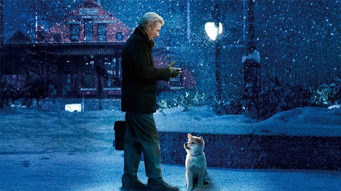 Sinopsis Film Hachi: A Dog’s Tale - Kesetiaan Tulus yang Dicontohkan Seekor Anjing, Sore Ini TransTV