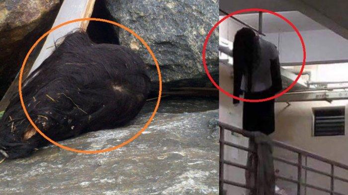 Baju Menggantung Bak Orang Bunuh Diri, Jepit Rambut Mirip Laba-laba Beracun, Inilah 13 Foto Ilusi
