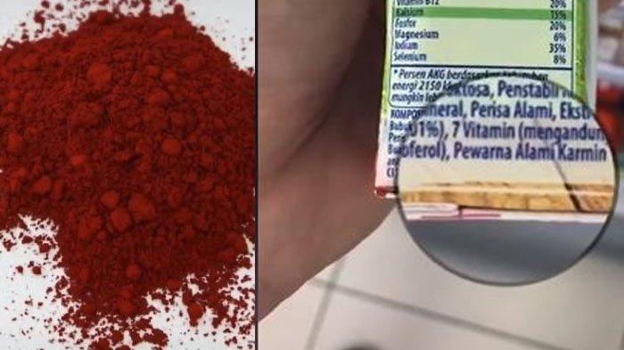 Viral Video di TikTok Perlihatkan Pewarna Alami pada Susu dan Yogurt, Terbuat dari Kutu Daun