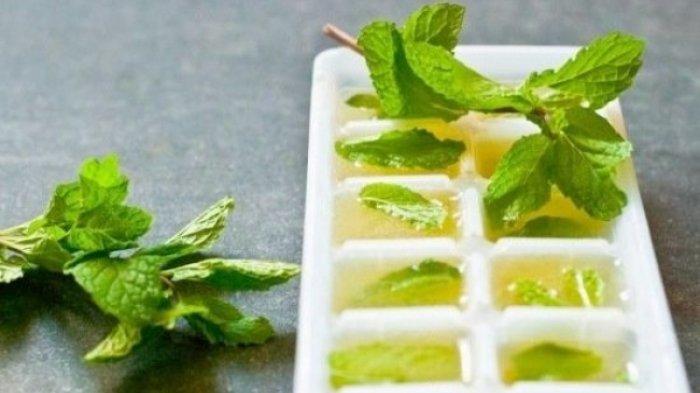 Cetak 8 Jenis Bahan Minuman Ini Menggunakan Nampan Es Batu, Kalian akan Takjub Lihat Hasilnya