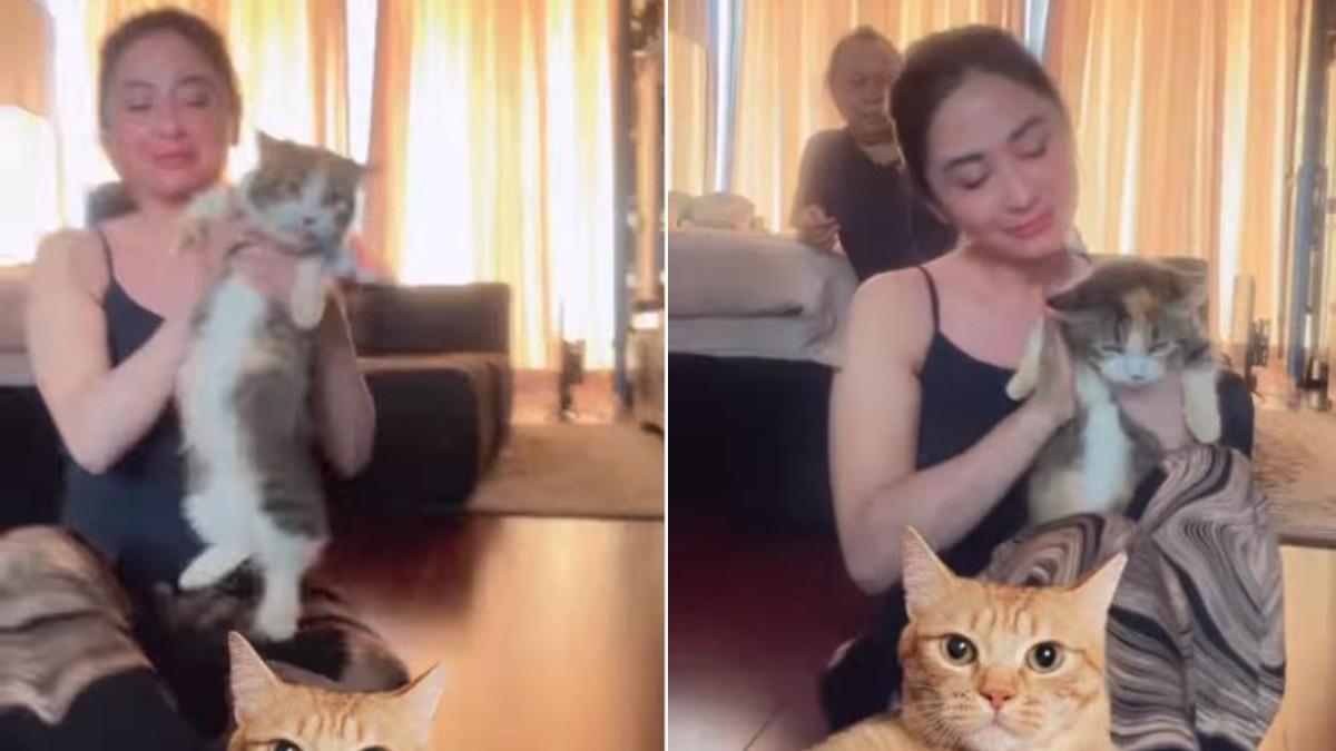 KUCING EKO PATRIO - kini giliran pedangdut Dewi Perssik yang merawat salah satu kucing Eko.