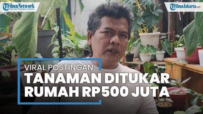 AWALNYA Promosi di FB, Pria Ini Bak Ketiban Rezeki Tanaman Hiasnya Ditukar Rumah Rp 500 Juta