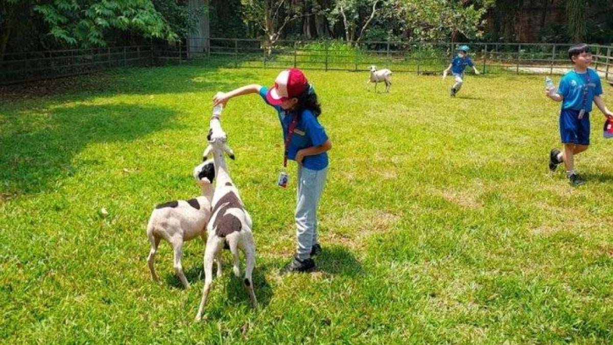 TEMPAT WISATA - Kuntum Farmfield, satu tempat wisata populer di Bogor 2026 yang bisa jadi referensi liburan bersama keluarga.