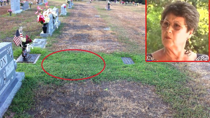 Ibu Bingung Rumput di Makam Anaknya Selalu Hijau, saat Kenyataan Terungkap, Ia Kaget Luar Biasa!