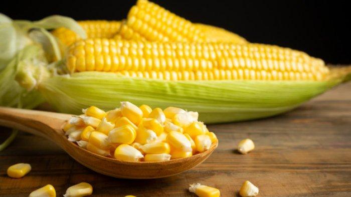 Cegah Penyakit Mematikan, Manfaat Rutin Konsumsi Jagung Rebus, Baik Untuk Penderita Diabetes