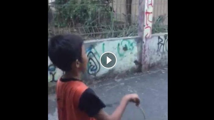 Meresahkan! Meski Gak Beneran Tapi Video Anak Kecil Main Tawuran Ini Bikin Geram, Ada yang Ngajarin