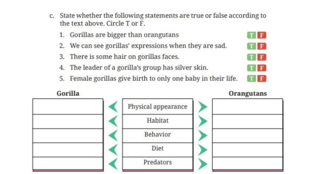 Soal Bahasa Inggris Kelas 9 Halaman 56
