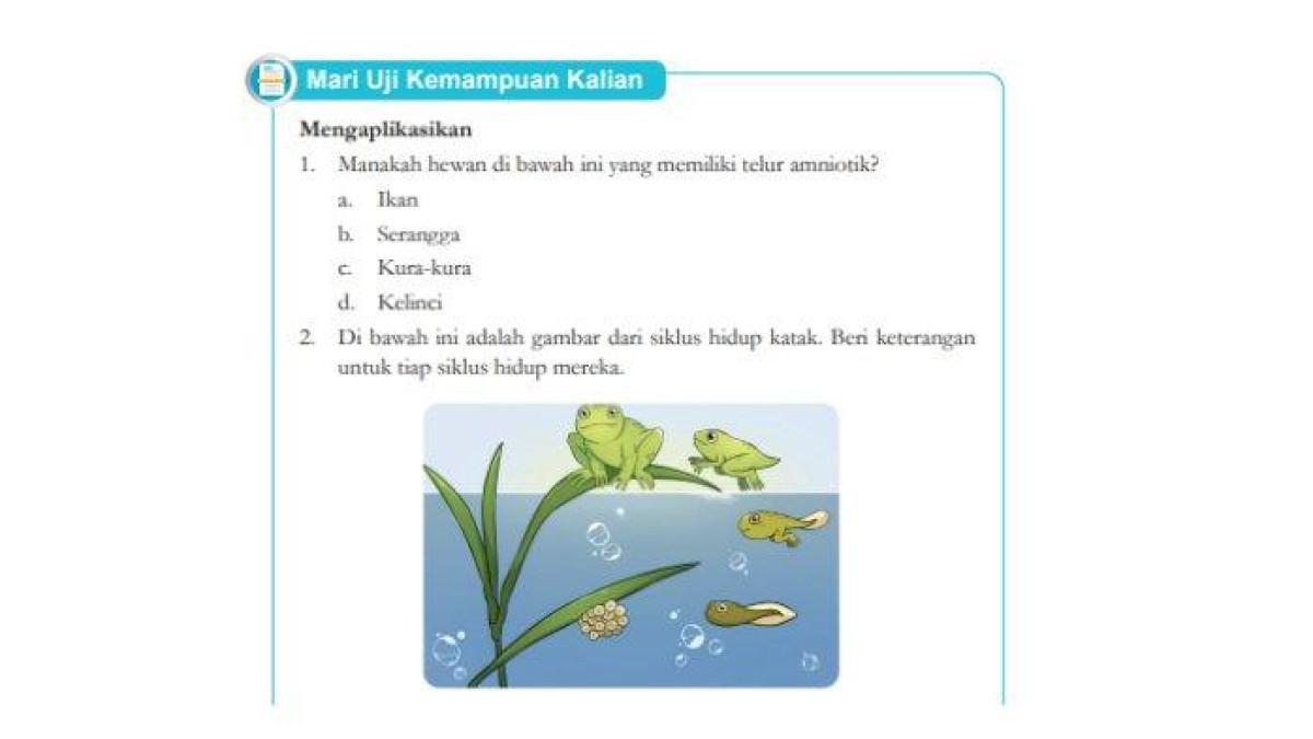 Kunci Jawaban IPA Kelas 9 Halaman 16 Kurikulum Merdeka: Pertumbuhan dan Perkembangan Hewan