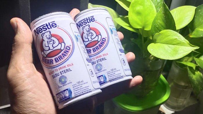 Dipercaya Mendongkrak Kekebalan Tubuh, Apa Saja Kandungan Nutrisi Susu Beruang? Cek Selengkapnya