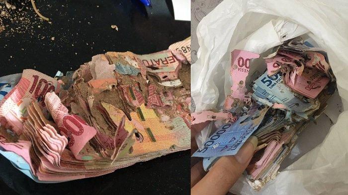 Viral Gadis Temukan Uang Simpanan Almarhum Nenek Dimakan Rayap, Padahal Sudah Ngumpul Rp 10 Juta