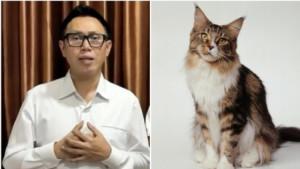 Eko-Patrio-Mencari-Kucingnya.jpg