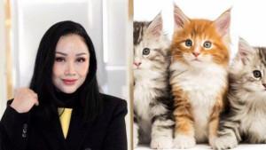 Titi-DJ-bongkar-ada-penyanyi-yang-minta-disediakan-kucing.jpg