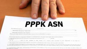 pppk-ilustrasi.jpg