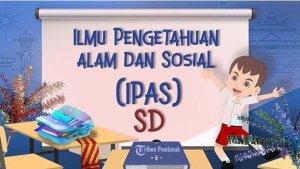 sampul-ips-sd.jpg