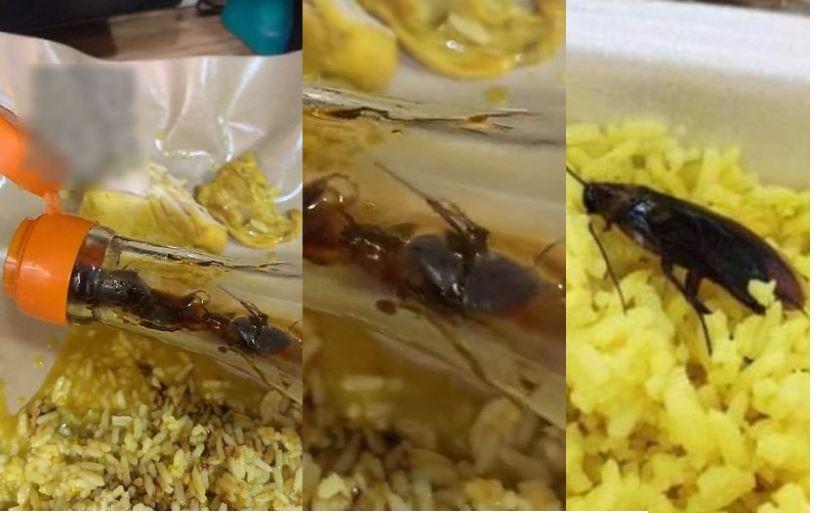 'Sudah Makan Empat Sendok', Gadis Ini Langsung Tak Nafsu saat Temukan Hewan Menjijikkan Dalam Botol