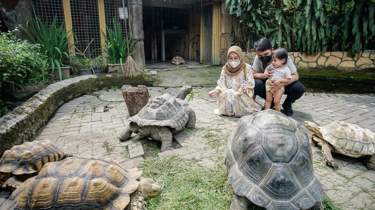 Daya-Tarik-Gembira-Loka-Zoo.jpg
