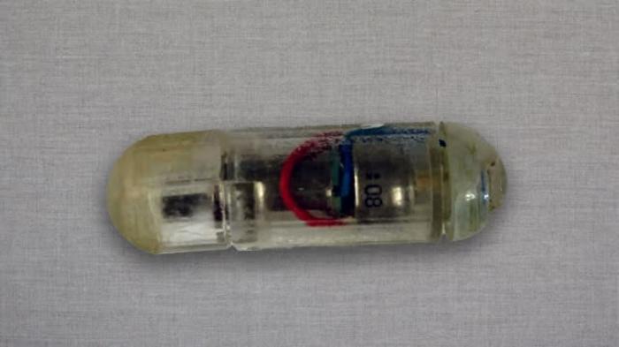 Kabar Baik untuk Pejuang Diet, Ilmuwan Ciptakan Pil yang Bisa Bergetar Pakai Baterai, Bikin Kenyang!