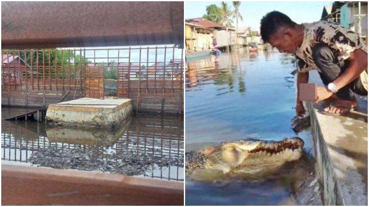 Tampak Rumah Baru Buaya Riska di Bontang, Bisa Jadi Lokasi Wisata, Berawal dari Kisah Persahabatan