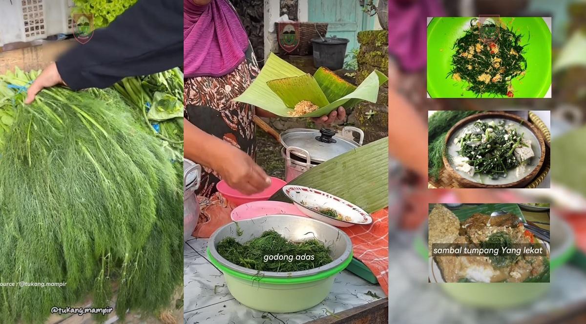 Kolase-potret-daun-adas-dan-olahan-yang-bisa-dibuat-darinya.jpg
