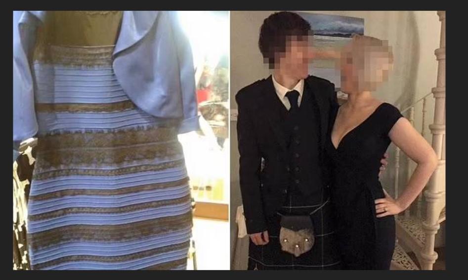 Masih-ingat-dengan-foto-viral-apa-warna-gaun-ini.jpg