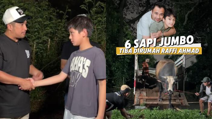 Rafathar-wakili-Raffi-Ahmad-terima-enam-sapi-yang-dibeli-dari-Irfan-Hakim.jpg