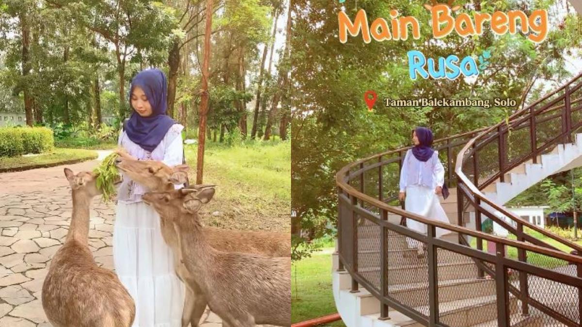 Jejak Sejarah Taman Balekambang Solo, Dulu Jadi Tanda Cinta Ortu ke Anak, Kini Disulap Estetik