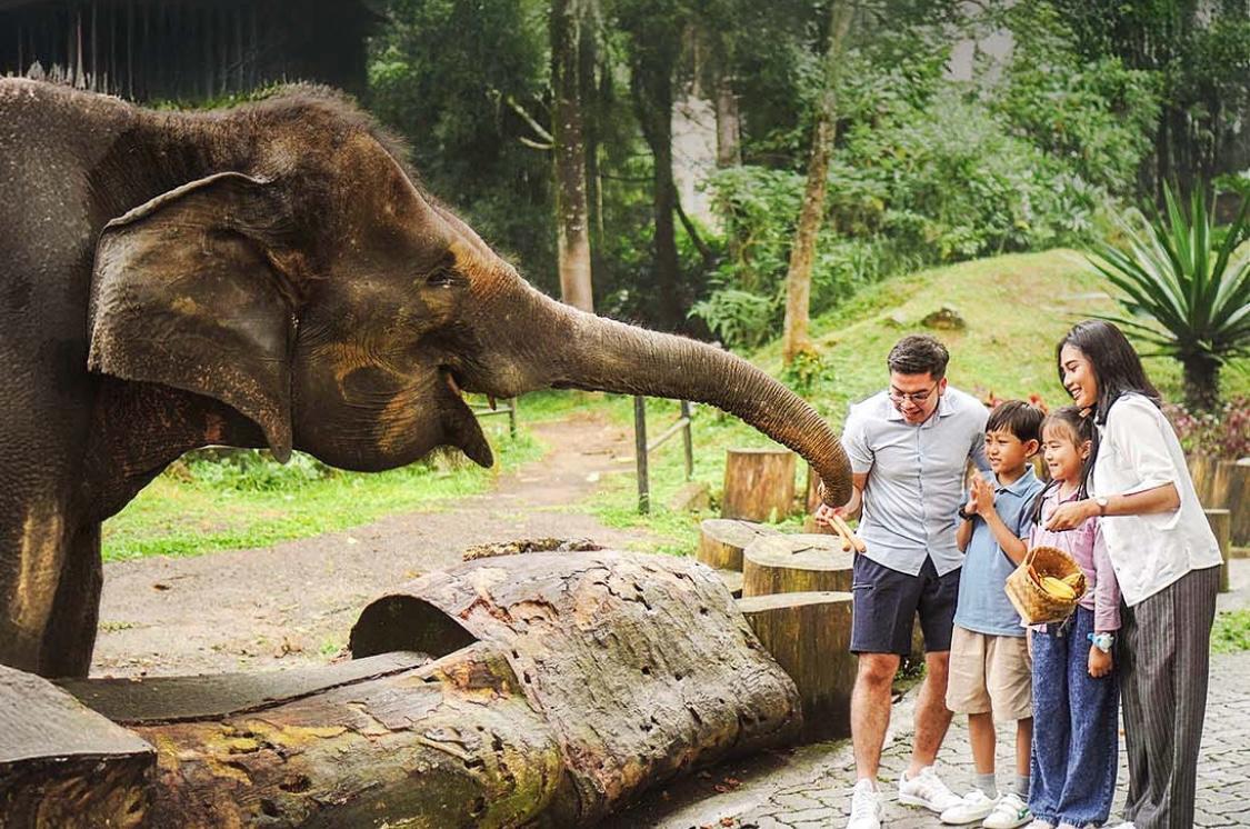 Taman-Safari.jpg