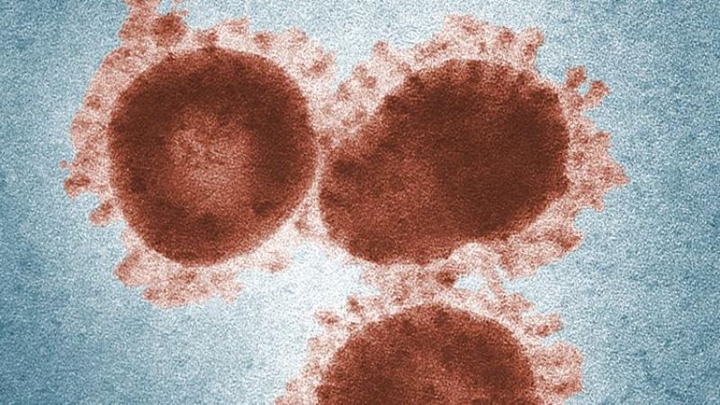 Virus Corona Ditetapkan Sebagai Pandemi oleh WHO, Simak Perbedaan Epidemi dan Pandemi