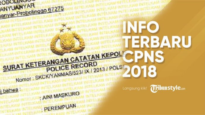 Satu Hari Jelang sscn.bkn.go.id Bisa Diakses, Apakah SKCK Jadi Syarat Daftar CPNS 2018?