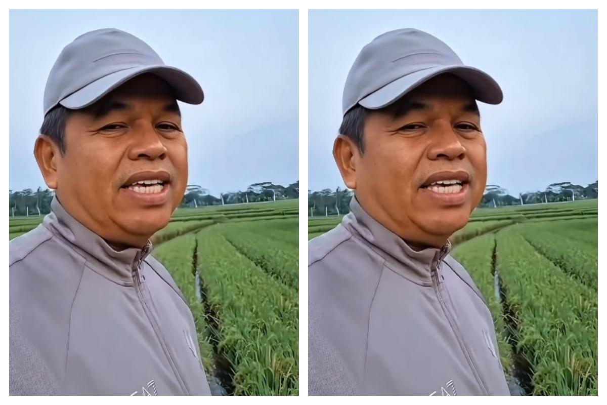Miskonsepsi Viral Ojol di Bandung: Bagaimana Fakta Sebenarnya?