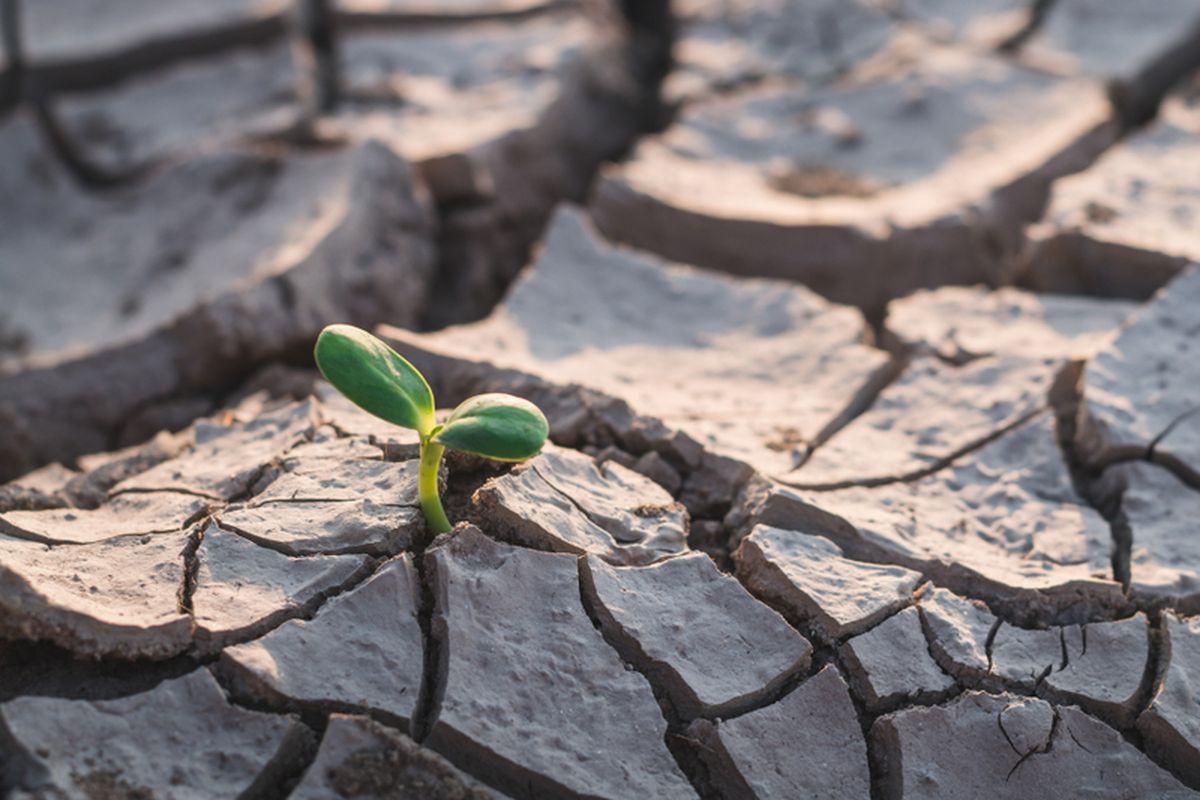 Dampak Hujan Es Disusul Kekeringan, 6 Warga di Papua Tengah Meninggal Dunia, 'Diare, Sakit Kepala'