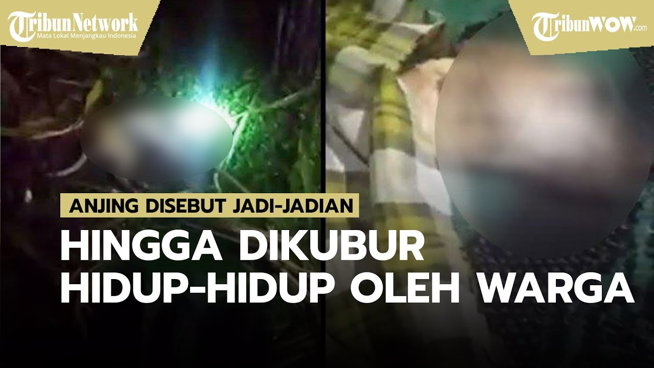 pelajar-smp-berubah-jadi-anjing-fakta-sebenarnya-terungkap.jpg