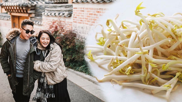 Demi Punya Anak, Siti Badriah Makan Taoge Tiap Hari, Ini Manfaatnya Menurut Pakar, Bisa Cepat Hamil