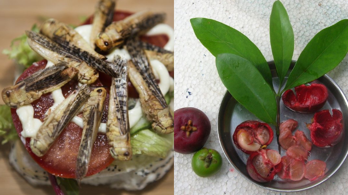 6 Makanan Kaya Nutrisi dan Vitamin yang Direkomendasikan Para Ahli, Sayang Tak Banyak Orang Tahu