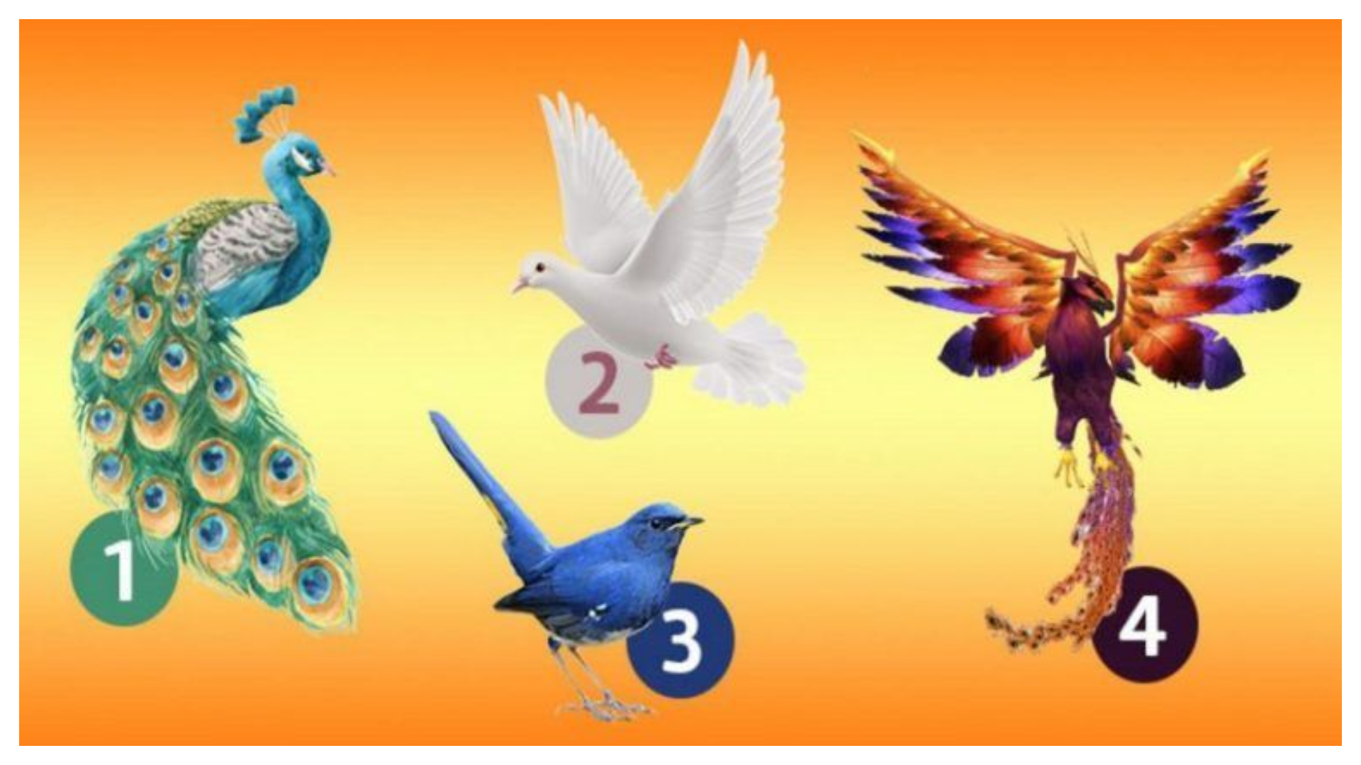 Tes Kepribadian: Pilih Burung yang Memikat Matamu! Jawabanmu Bisa Memprediksi Masa Depanmu