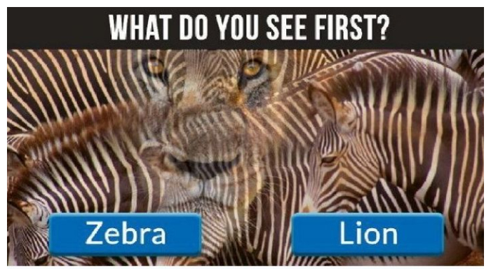 Tes Kepribadian: Zebra Atau Singa? Objek yang Kamu Lihat Ungkap Kamu Introvert atau Ekstrovert