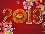 2019-tahun-babi-tanah.jpg