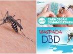 5-makanan-paling-sehat-untuk-sembuhkan-dan-cegah-demam-berdarah.jpg