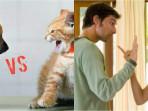 Anjing-vs-kucing-pasangan-pengantin-di-India.jpg