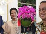 Bocoran-harga-dan-makna-bunga-anggrek-ungu-kiriman-Anies-Baswedan.jpg
