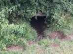 Oweynagat-Gua-Kucing-atau-Gua-Menuju-Neraka-di-Irlandia-dianggap-tempat-kelahiran-Halloween.jpg