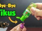 Usir-tikus-dari-rumah.jpg