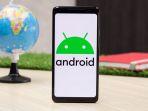 android-12.jpg